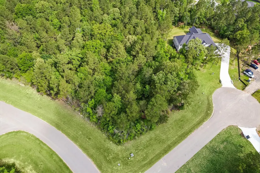 8608 Trinity Pines Court, Montgomery, TX 77316 - #2