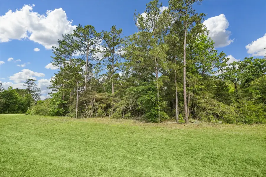 8608 Trinity Pines Court, Montgomery, TX 77316 - #3