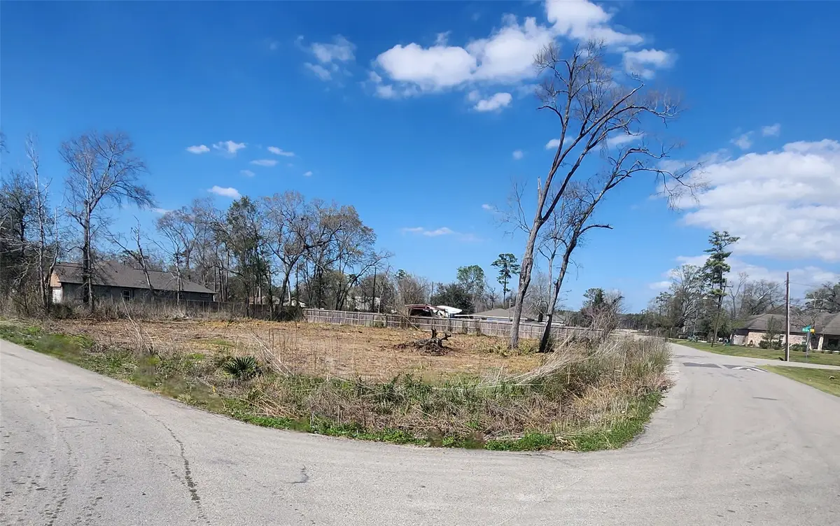 10109 Haddick Street, Houston, TX 77078 - #1