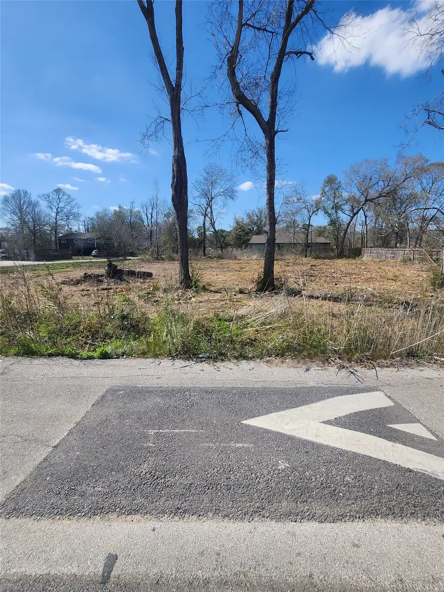 10109 Haddick Street, Houston, TX 77078 - #3