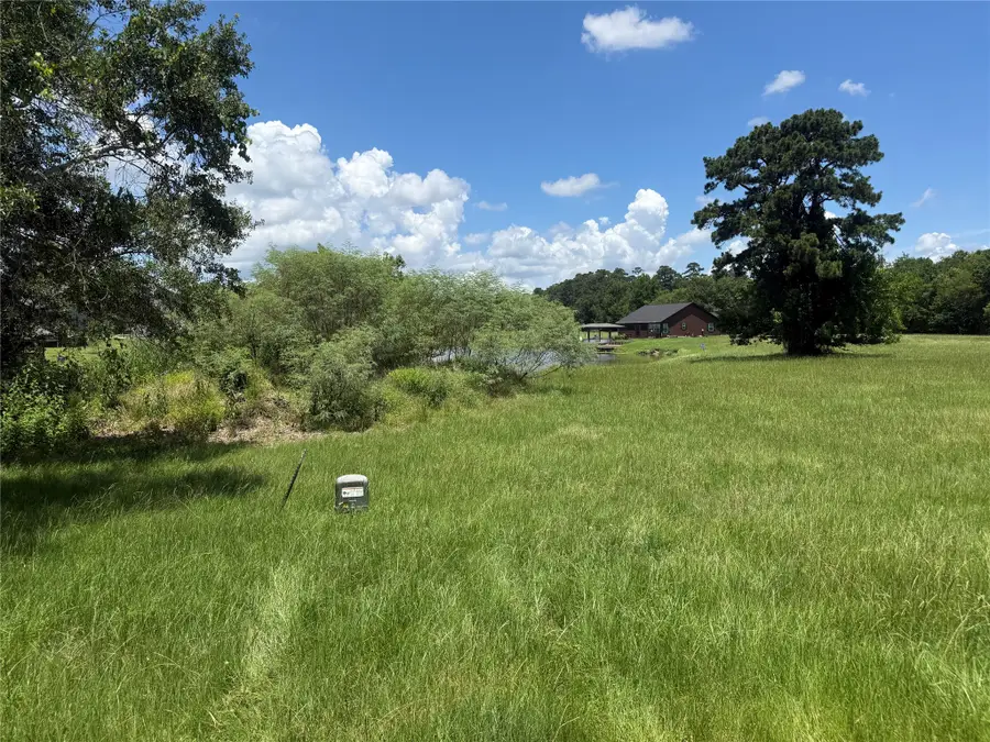 4 Wild Iris Court, Huntsville, TX 77340 - #2