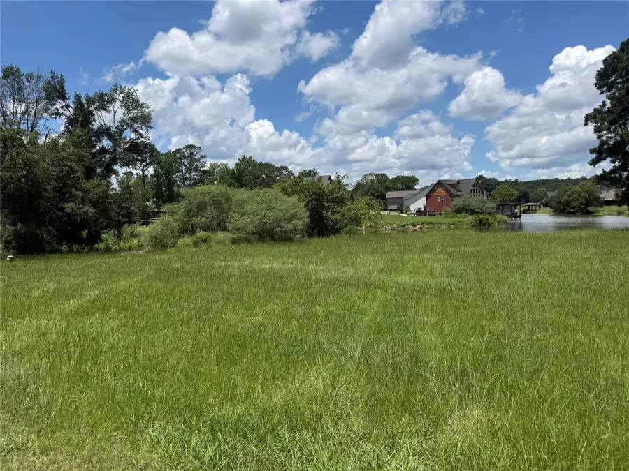 4 Wild Iris Court, Huntsville, TX 77340 - #3