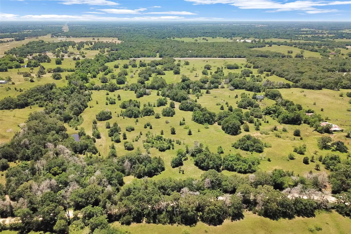 7629 Oxford Cemetery Road, Madisonville, TX 77864 - #1