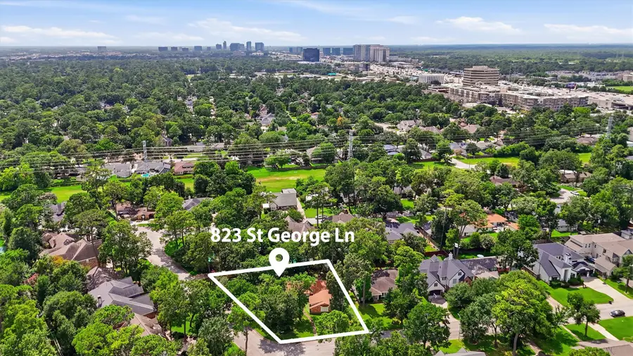 823 Saint George Lane, Houston, TX 77079 - #2