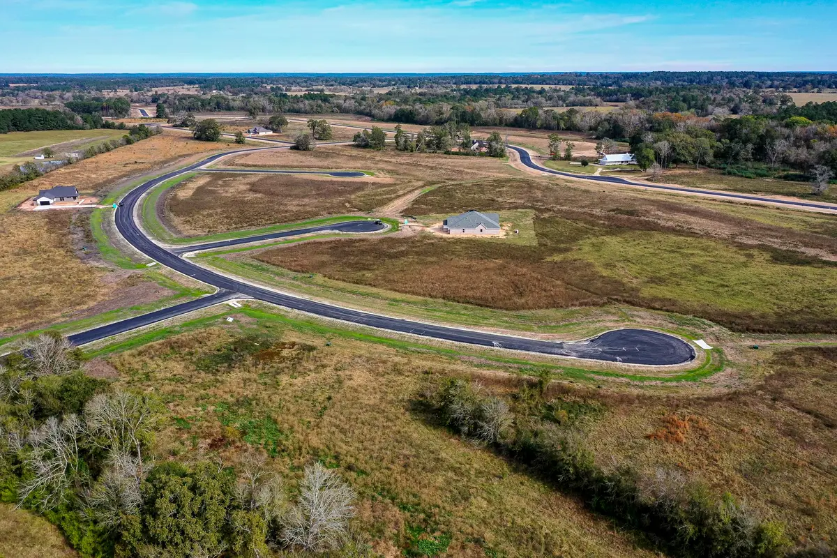 163 Choctaw Way, New Waverly, TX 77358 - #1