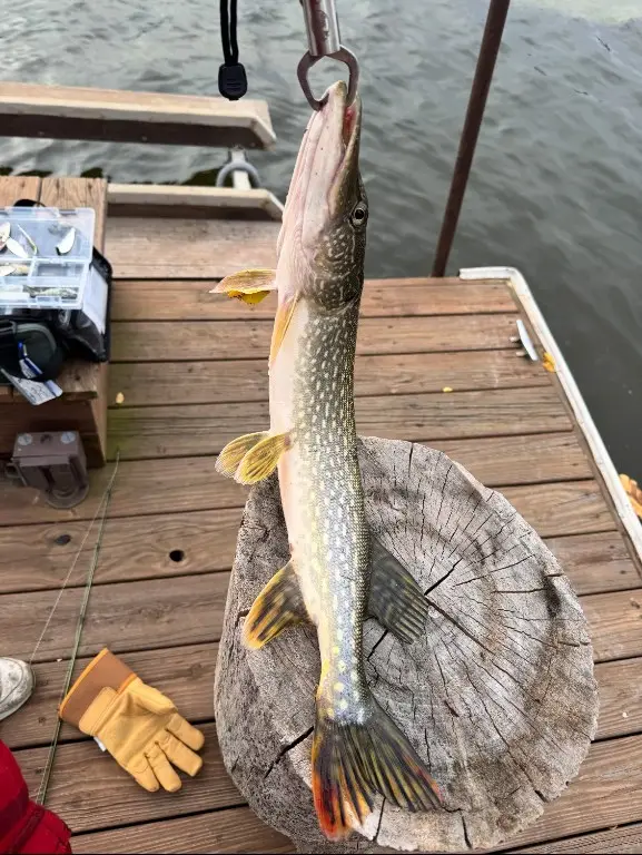 145 Abel Drive, Guttenberg, IA 52052 - Image #2