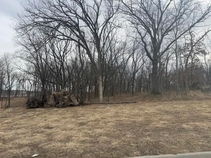 Lot 53 Madden Addition, Tiffin, IA 52340 - #2