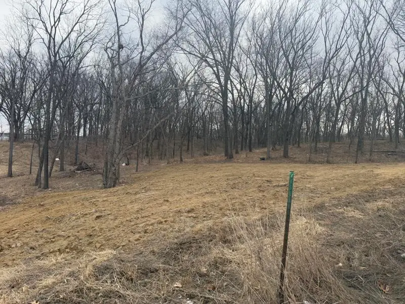 Lot 54 Madden Addition, Tiffin, IA 52340 - #2