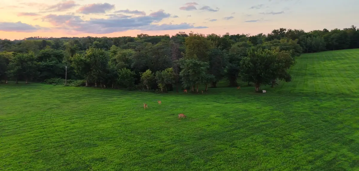 Lot 10 Kestrel Heights 2nd Addition, Cedar Rapids, IA 52403 - #1