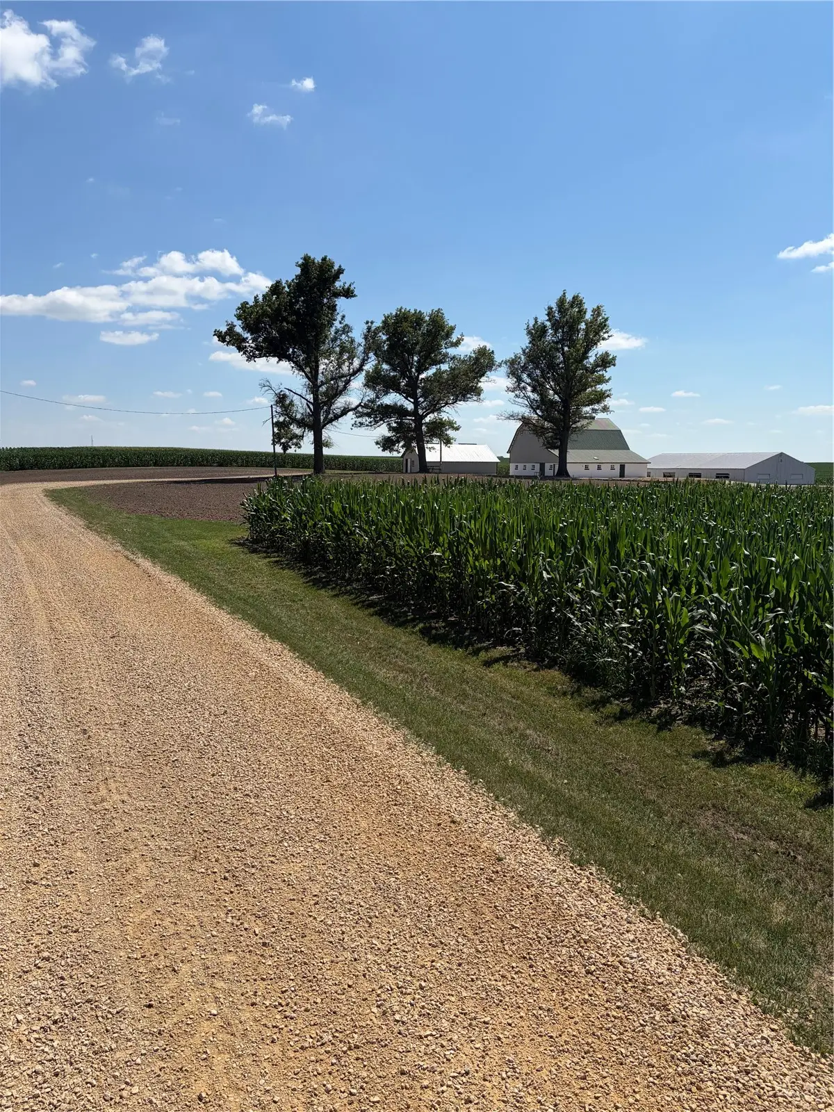 4975 240th Street, Walcott, IA 52773 - #1