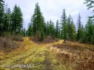 NNA W CONKLING RD, Worley, ID 83876 - Image #2