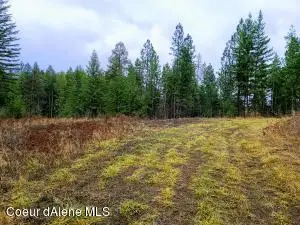 NNA W CONKLING RD, Worley, ID 83876 - Image #3