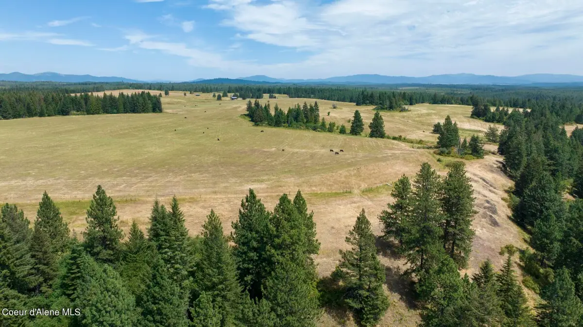 1605 Jasmine Ln, Weippe, ID 83553 - #1