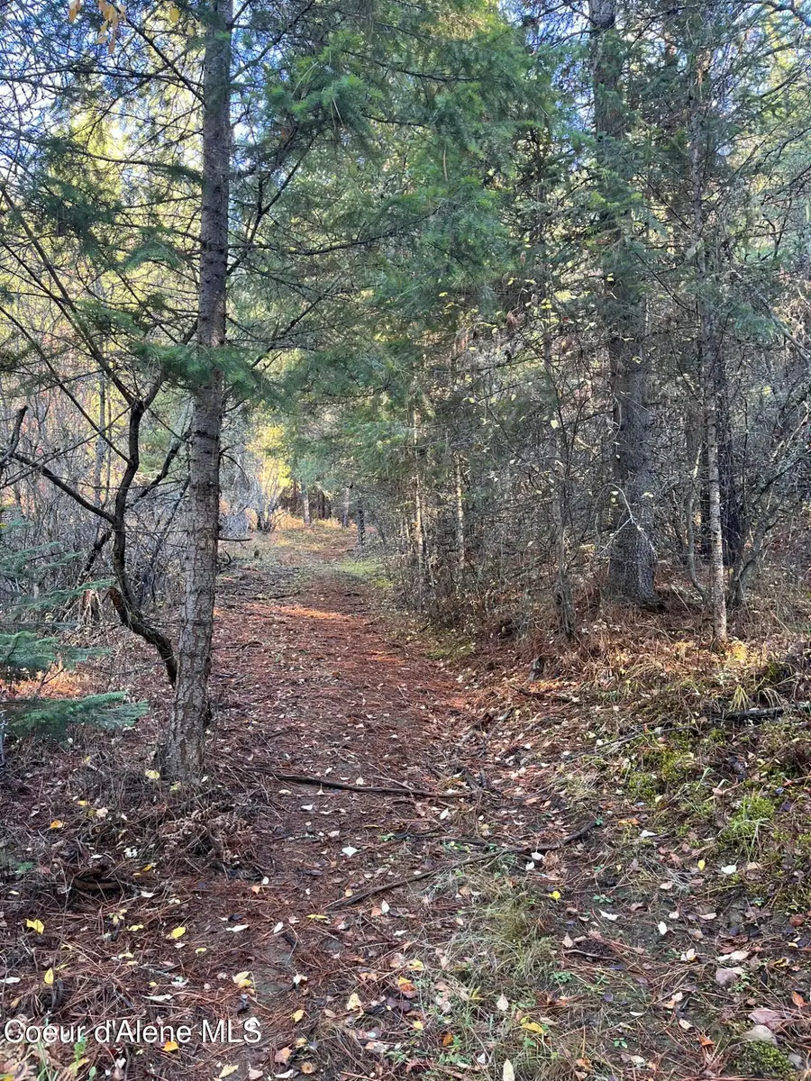 30.91acs French Gulch Rd, Kingston, ID 83839 - Image #2