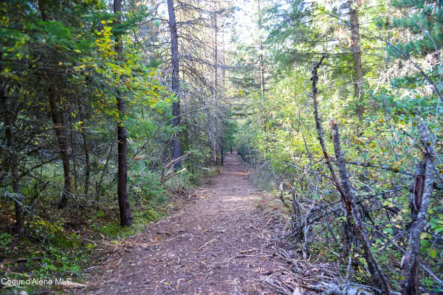 30.91acs French Gulch Rd, Kingston, ID 83839 - Image #3