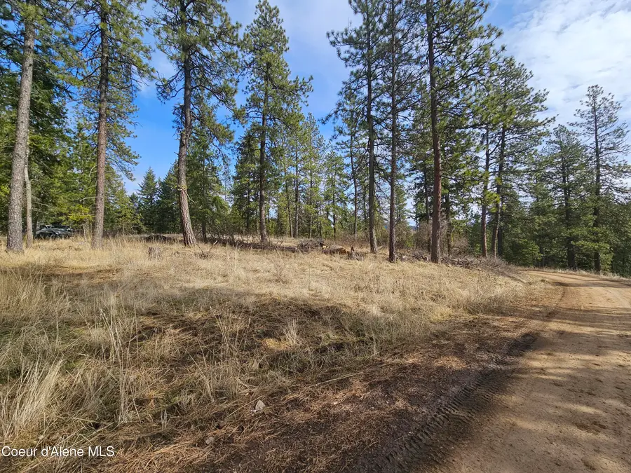 2252 E Badger Rd, Harrison, ID 83833 - Image #2