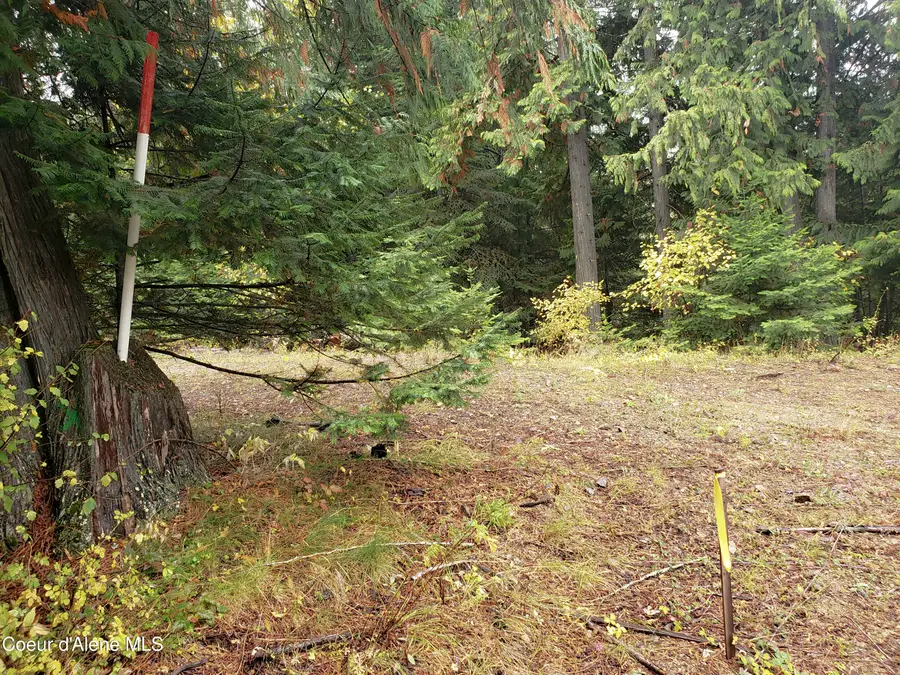 NKA White Cloud Dr, Sandpoint, ID 83864 - Image #2