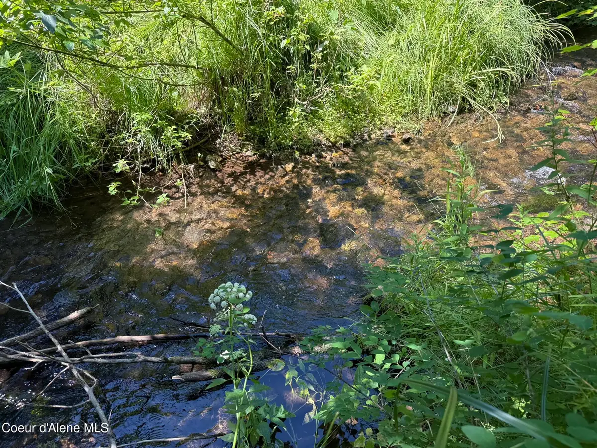 360 & 372 Maple Ln, Fernwood, ID 83830 - Image #1