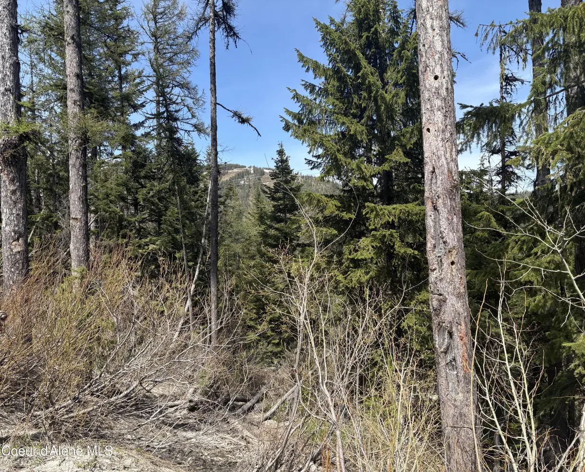 NKA Parallel Run BLK 6 LOT 9A, Sandpoint, ID 83864 - #1