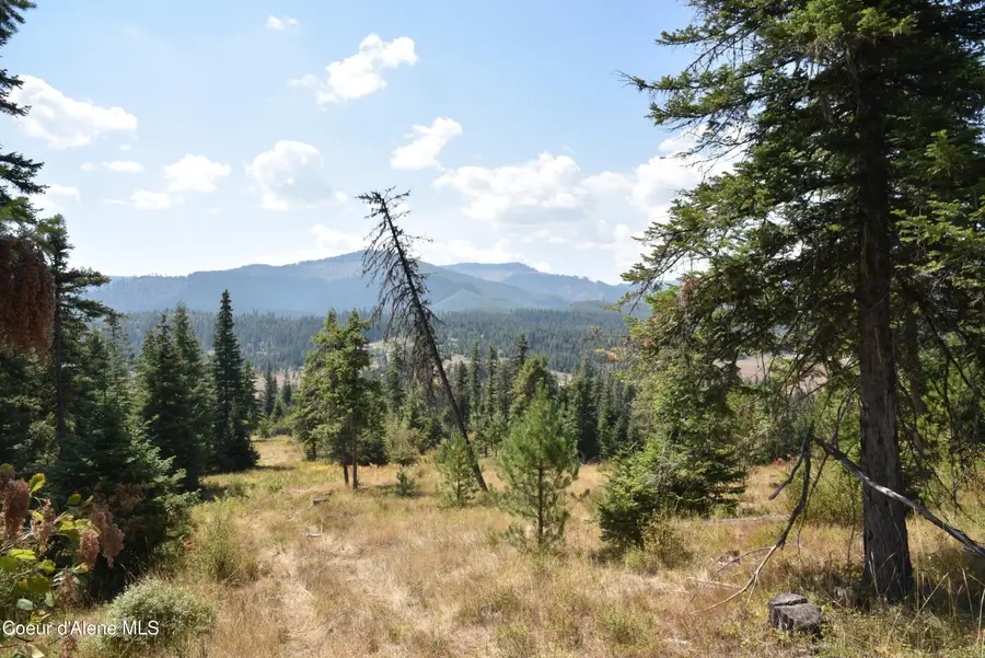 NNA lot 3 Carpenter Creek Rd, Fernwood, ID 83830 - Image #2