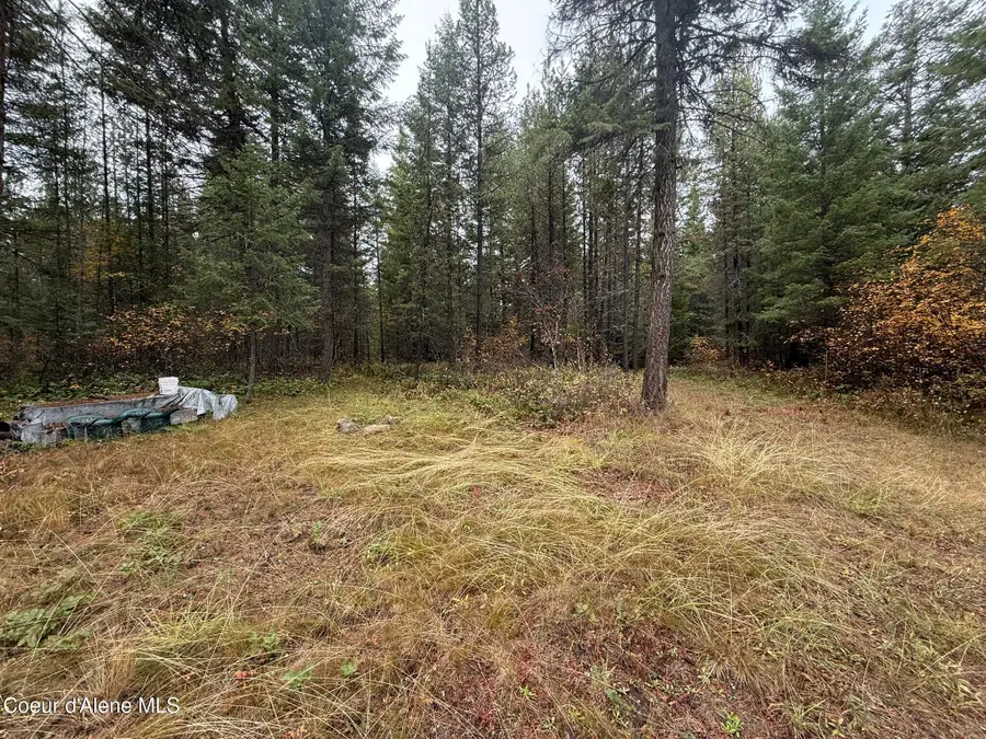 260 Deerhaven Ln, Fernwood, ID 83830 - Image #2
