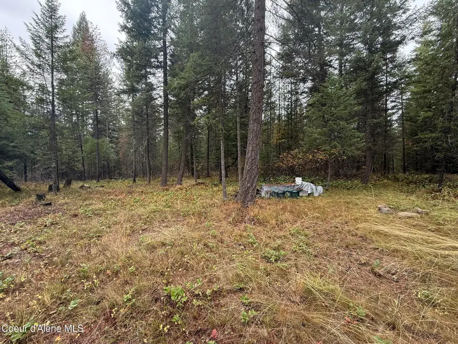 260 Deerhaven Ln, Fernwood, ID 83830 - Image #3