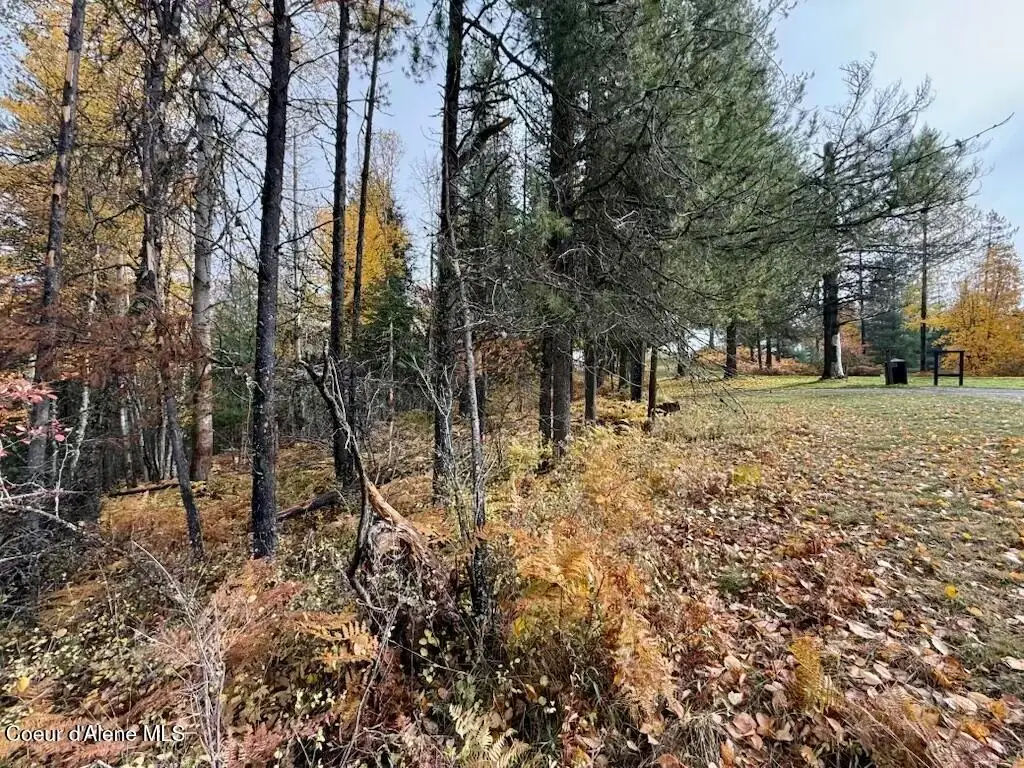 NKA Country Club Rd, Kellogg, ID 83837 - Image #1