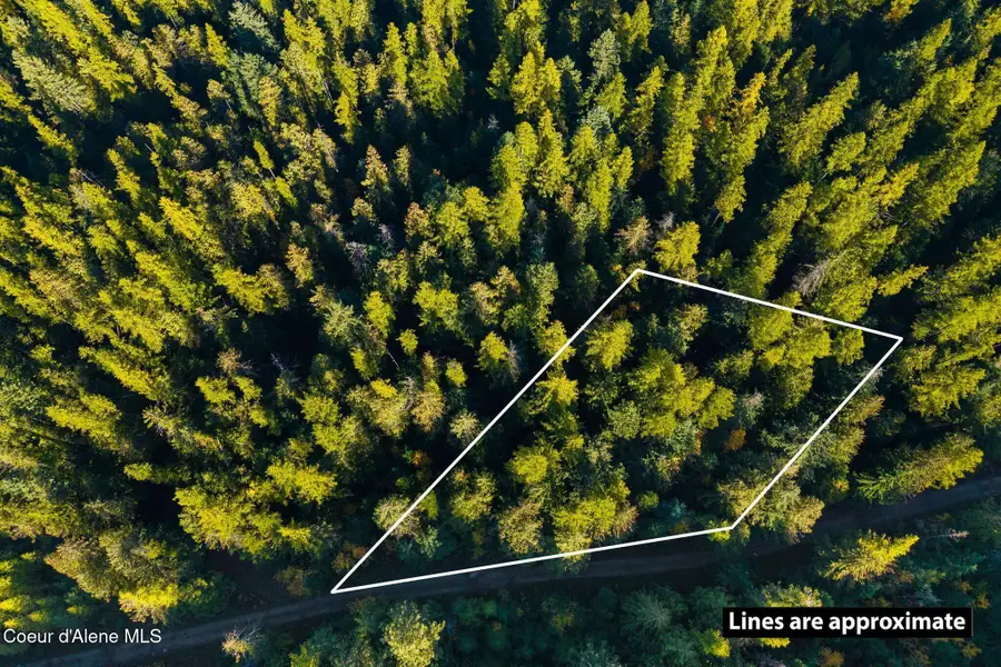 NNA Big Buck Rd, Bayview, ID 83803 - Image #3