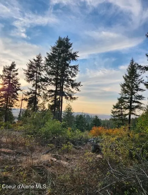 199 Bremerman Lane, Plummer, ID 83851