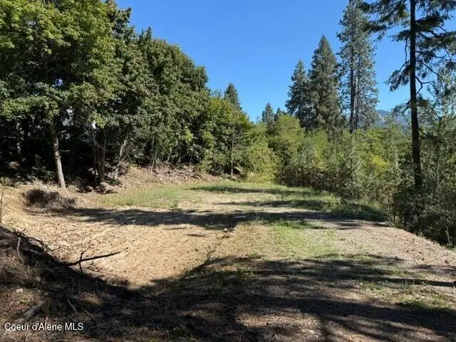 NNA (.393 ac.) 2nd St, Priest River, ID 83856 - #1