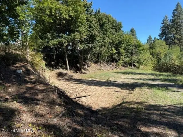 NNA (.393 ac.) 2nd St, Priest River, ID 83856 - #2