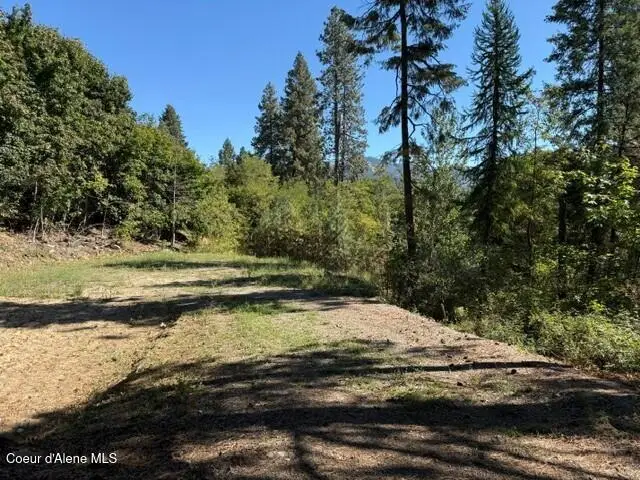 NNA (.393 ac.) 2nd St, Priest River, ID 83856 - #3