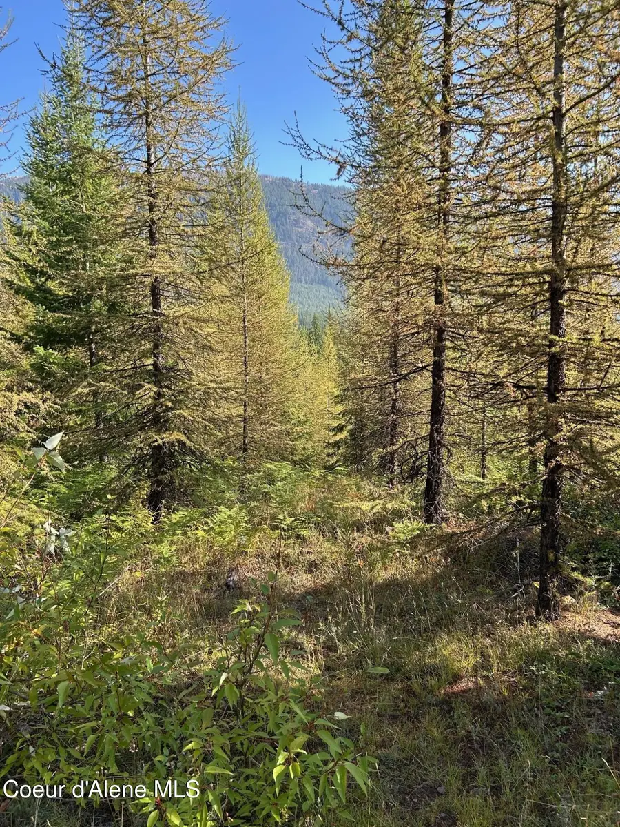 NKA Tract 6 USFS 2294, Clark Fork, ID 83811 - Image #2