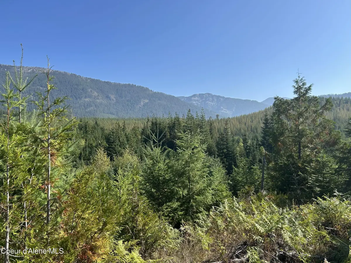 NKA Tract 5 USFS 2294, Clark Fork, ID 83811 - Image #1