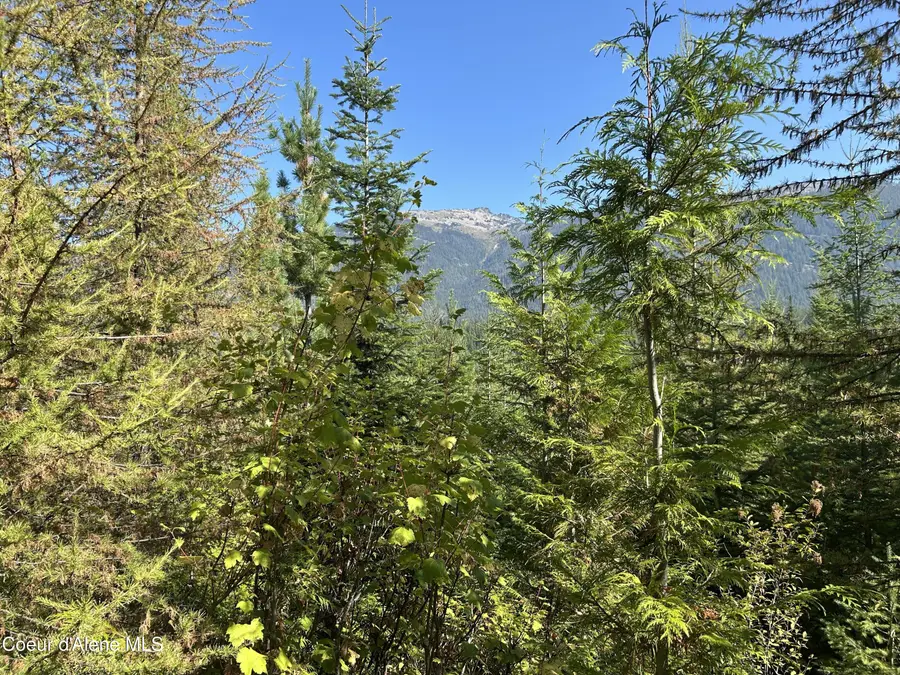 NKA Tract 5 USFS 2294, Clark Fork, ID 83811 - Image #2