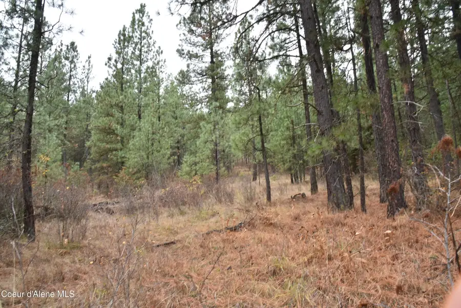 NKA Shady Ln, Desmet, ID 83824 - Image #3