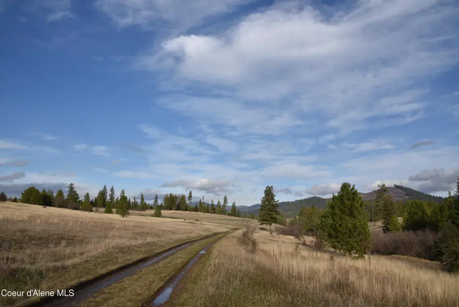 NKA Tyson Creek Rd, Santa, ID 83866 - Image #2