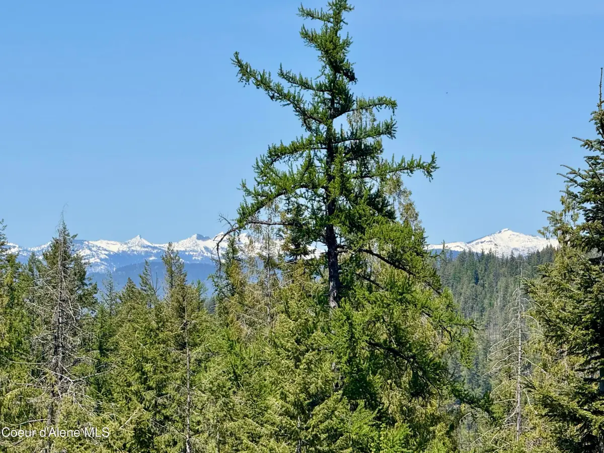 161 Brightwater LN, Sandpoint, ID 83864 - Image #1