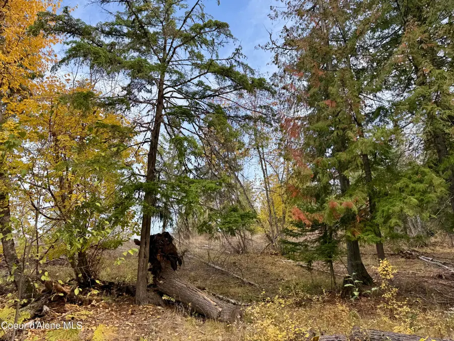 161 Brightwater LN, Sandpoint, ID 83864 - Image #3