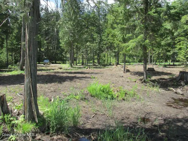500 Luby Bay Rd, Priest Lake, ID 83856 - Image #1