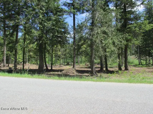 500 Luby Bay Rd, Priest Lake, ID 83856 - Image #3