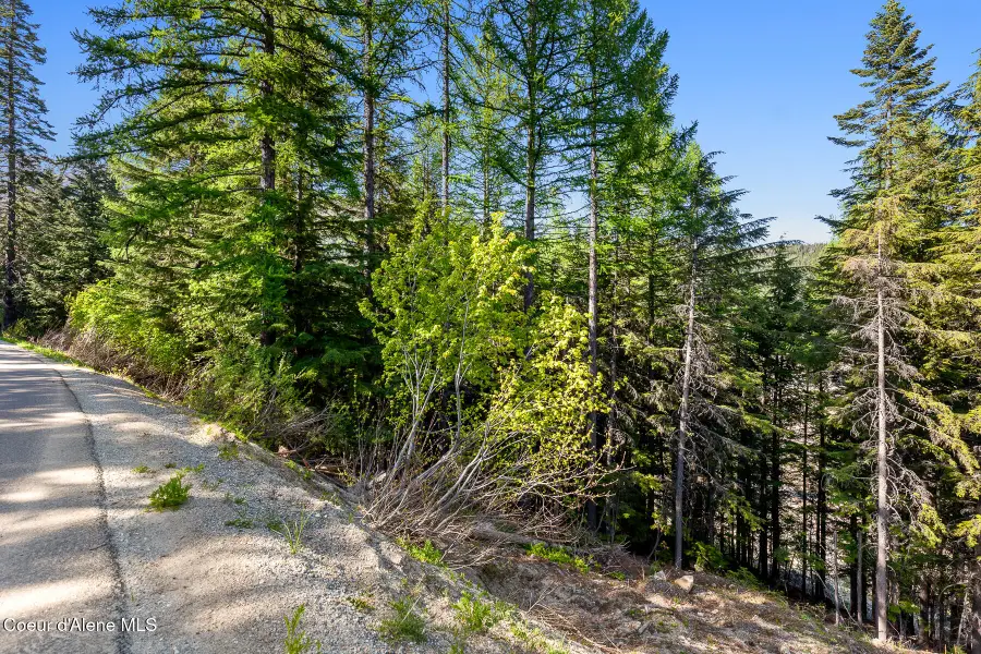 NNA Telemark Rd, Sandpoint, ID 83864 - Image #2