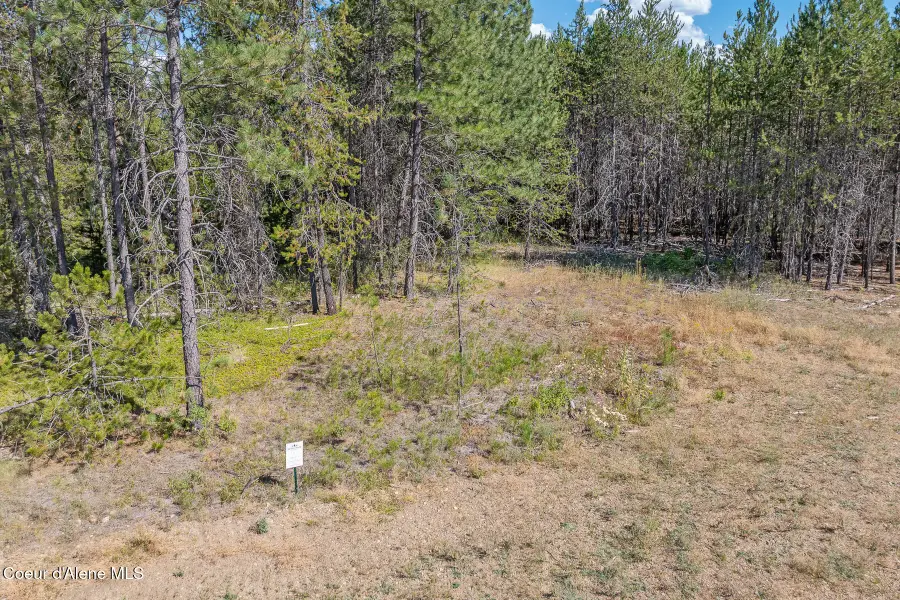 Lot 5 Dawson Lp, Athol, ID 83801 - Image #3