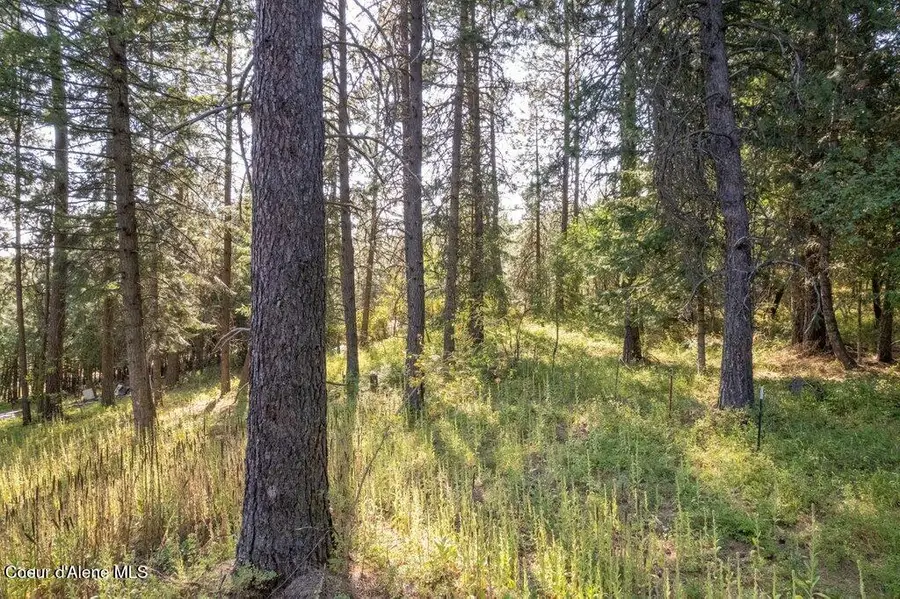 NKA S Allen Rd Lot 18, Coeur Dalene, ID 83814 - Image #3