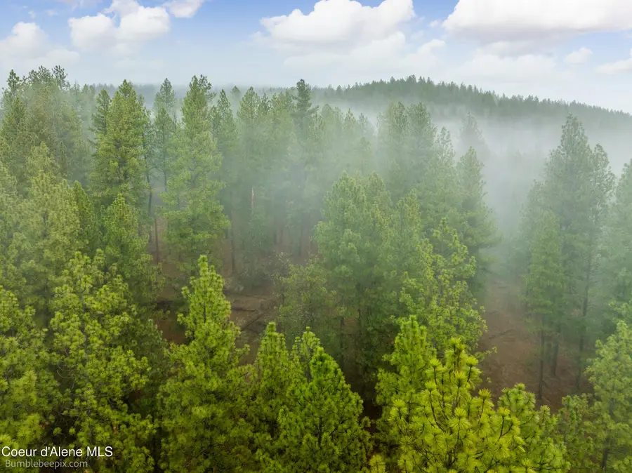 NNA Pleasants View Road, Blanchard, ID 83804 - Image #2