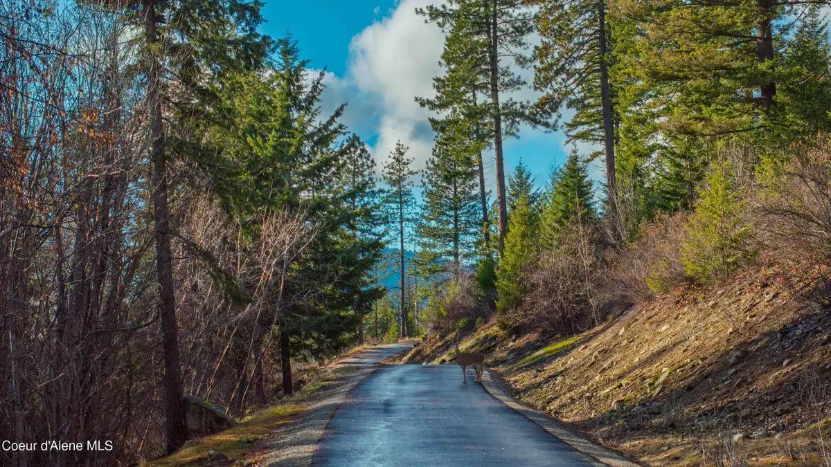 NNA 20.83acs Destiny Ln, Sandpoint, ID 83864 - #1