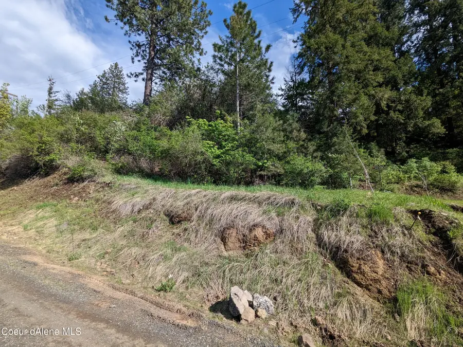NKA N Frederick Ave Lot 60, Harrison, ID 83833 - Image #3