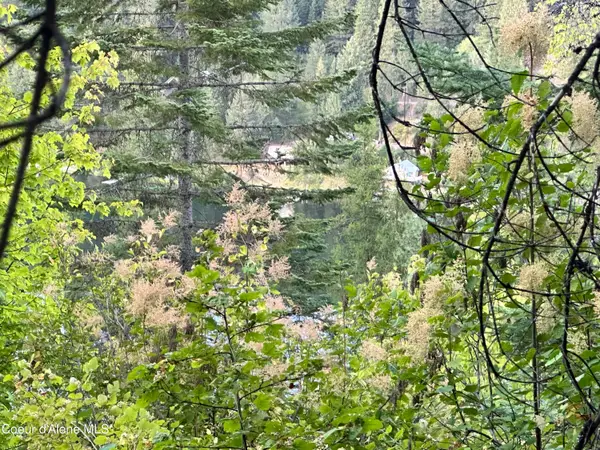.29 Acres Hinds Dr, St. Maries, ID 83861