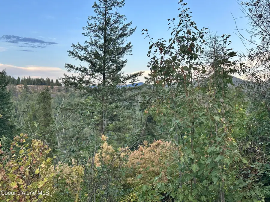 .29 Acres Hinds Dr, Saint Maries, ID 83861 - #3