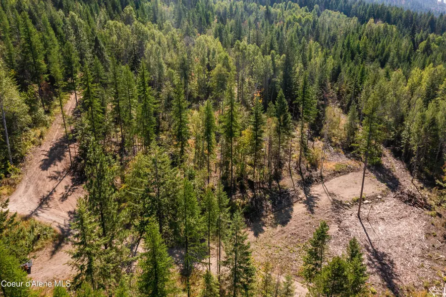 NNA Diamond Rd, Bonners Ferry, ID 83805 - Image #2